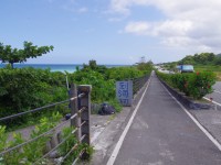 東海岸自行車道<br/> 攝影：Eva隨手拍