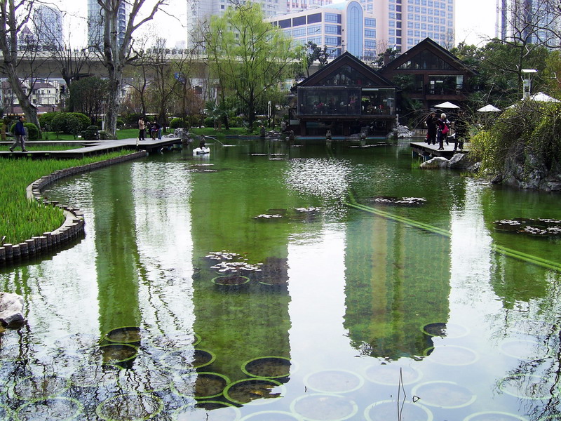 靜安公園-造型池塘 攝影：陳李豪