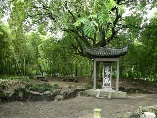 蘭亭 攝影：北有九寨溝，南有蘇杭