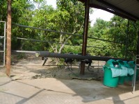 走馬瀨農場鴕鳥園<br/> 攝影：三井