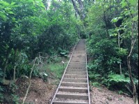 富陽自然生態公園<br/> 攝影：Eva隨手拍