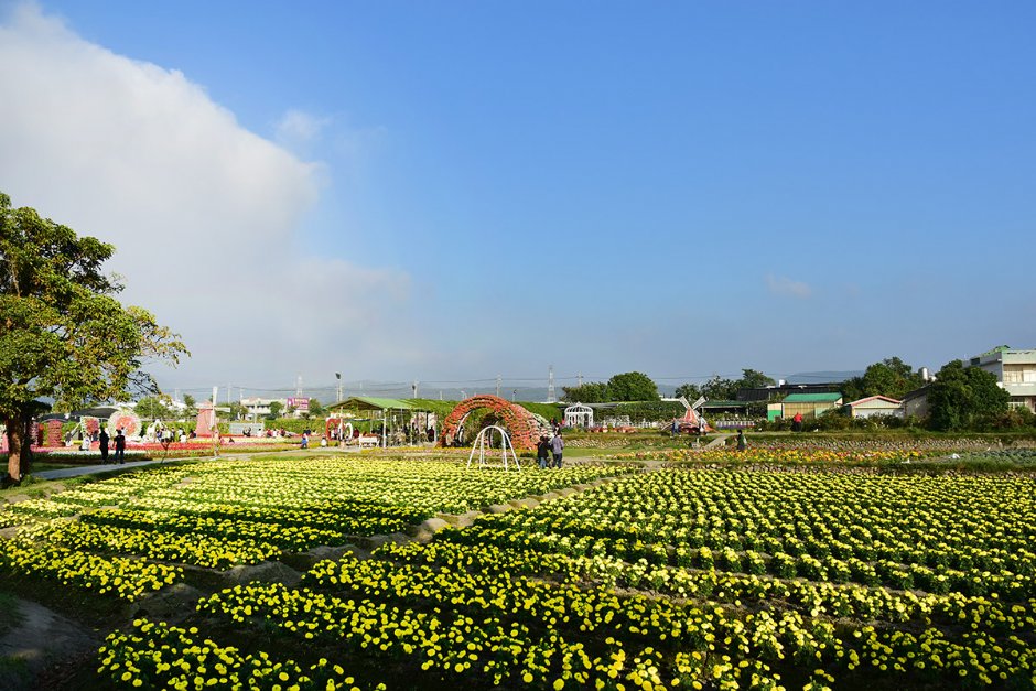 花海 攝影：中社觀光花市
