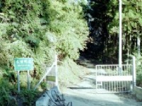水田林道<br/> 攝影：呂玫瑢