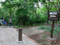 往功維敘隧道之指標<br/> 攝影：Eva隨手拍