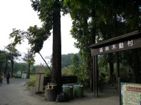 森林木動村<br/> 攝影：三個井