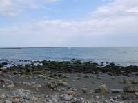 海濱秋茂園<br/> 攝影：三井