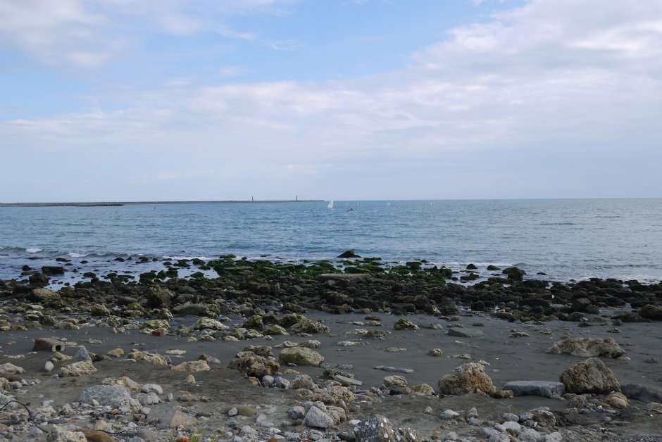 海濱秋茂園 攝影：三井