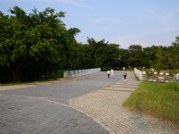 高雄都會公園<br/> 攝影：三個井