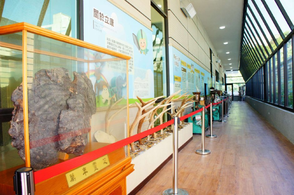 時光隧道 攝影：立康健康養生觀光工廠