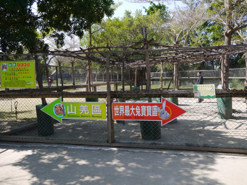 頑皮世界 攝影：三井