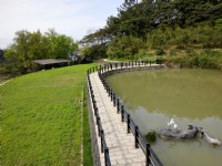 樟樹步道<br/> 攝影：Lu