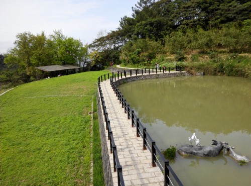 樟湖步道-樟樹步道