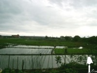 蘭陽平原<br/> 攝影：EVA隨手拍