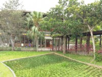 原生應用植物園<br/> 攝影：Louis
