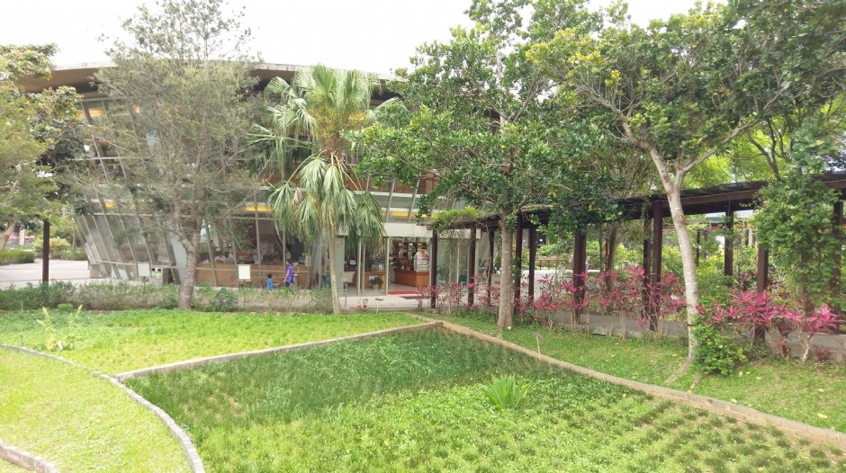 原生應用植物園 攝影：Louis