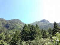 明池國家森林遊樂區<br/> 攝影：陳皮梅