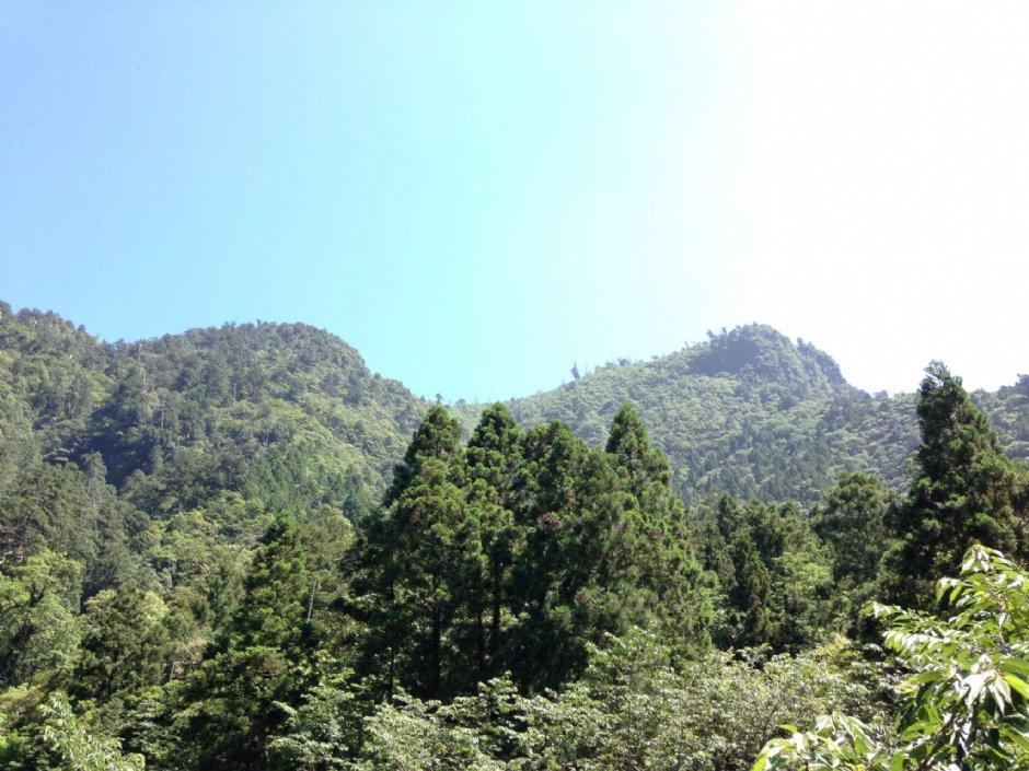 明池國家森林遊樂區 攝影：陳皮梅