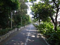 旗津風景區自行車道<br/> 攝影：三井