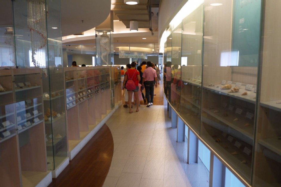 旗津貝殼館 攝影：旅遊王攝影組