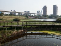 景觀橋木棧道<br/> 攝影：桃園市政府觀光旅遊局