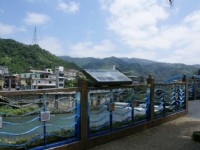 坪林親水公園<br/> 攝影：Eva隨手拍