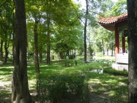 大東濕地公園<br/> 攝影：旅遊王攝影組