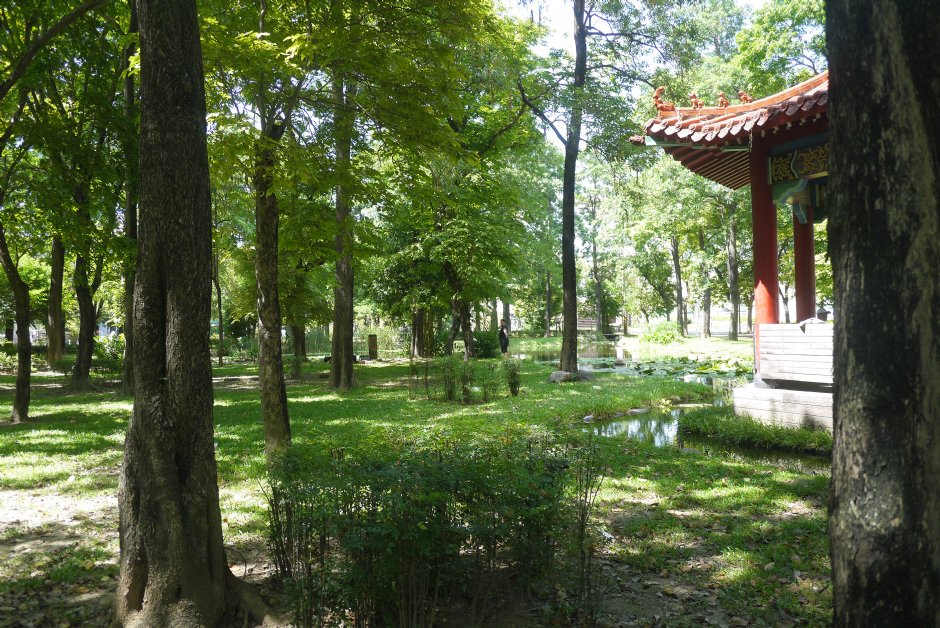 大東濕地公園 攝影：旅遊王攝影組