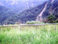 曲冰遺址一景<br/> 攝影：南投縣政府