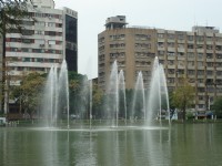 台中公園<br/> 攝影：meiyin