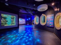 探險島水族館<br/> 攝影：遠雄海洋公園 提供