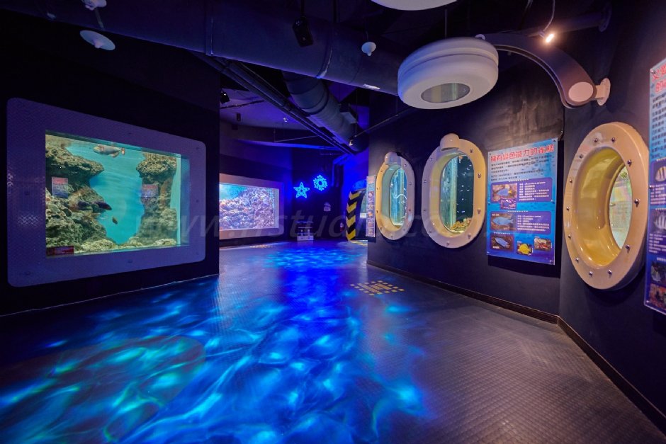 探險島水族館 攝影：遠雄海洋公園 提供