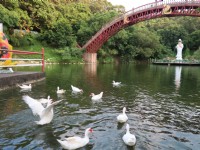 園區景緻<br/> 攝影：火炎山溫泉渡假村 提供