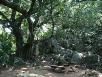 壽山登山步道-長春嶺<br/> 攝影：老山羊部落格