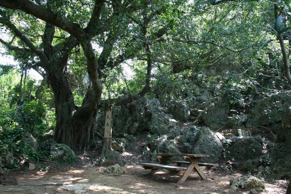 壽山登山步道-長春嶺 攝影：老山羊部落格