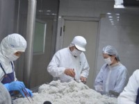 園區介紹<br/> 攝影：溪和食品觀光工廠