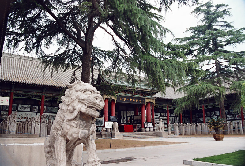 館內景致 攝影：林明德