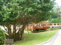 小白宮<br/> 攝影：Eva隨手拍