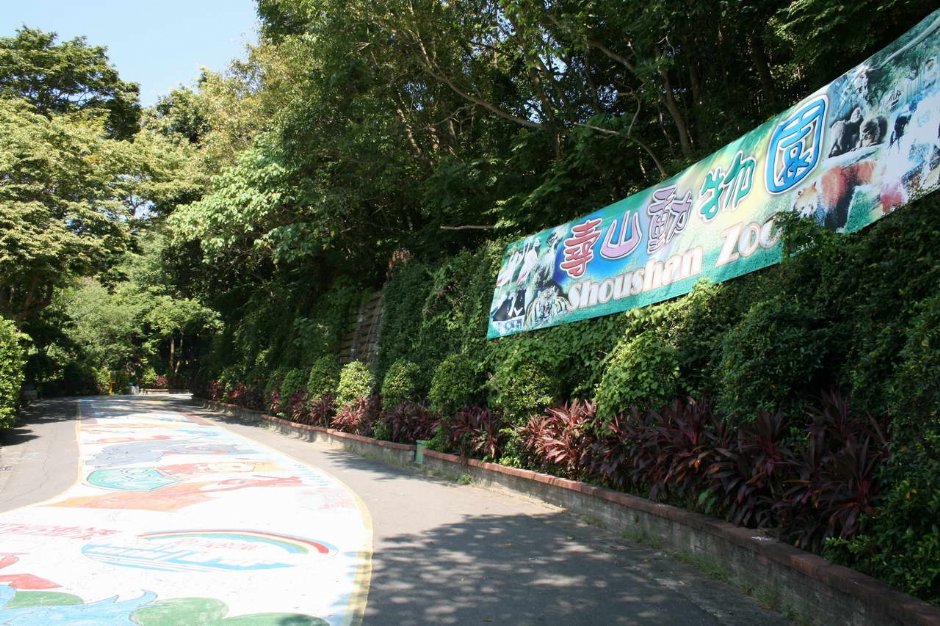 壽山動物園沿途 攝影：老山羊部落格