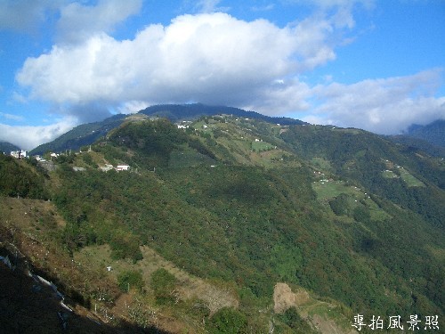 綠樹清添好風光~ 攝影：專拍風景照2