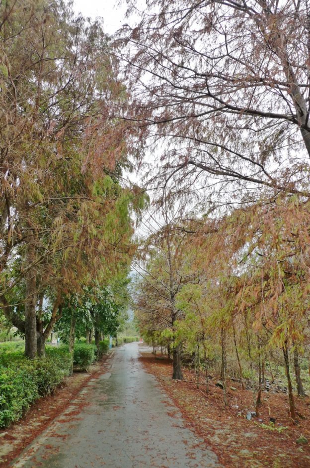 初英親水生態公園 攝影：Eva隨手拍