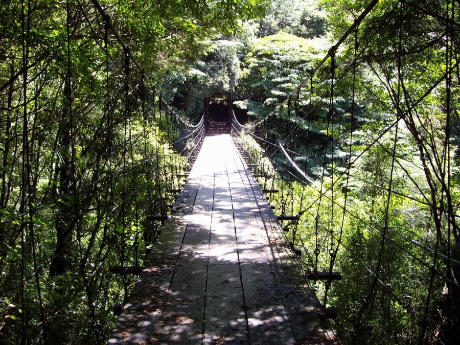 吊橋 攝影：老山羊部落格