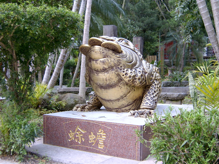 金蟾蜍 攝影：曾婉玲
