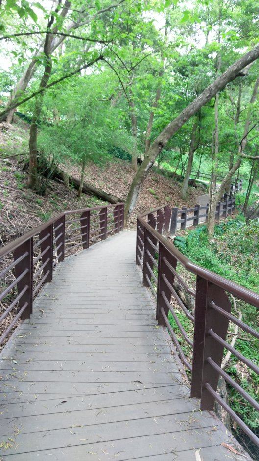 貓貍山公園 攝影：Eva隨手拍