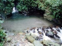 溪流<br/> 攝影：陳勇霖