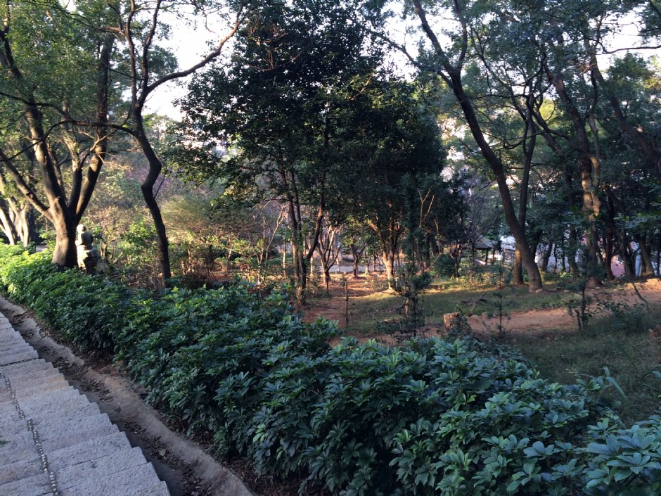 楊梅貴山公園 攝影：Leon Tsai