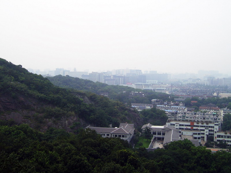 遠眺市區 攝影：方盛文
