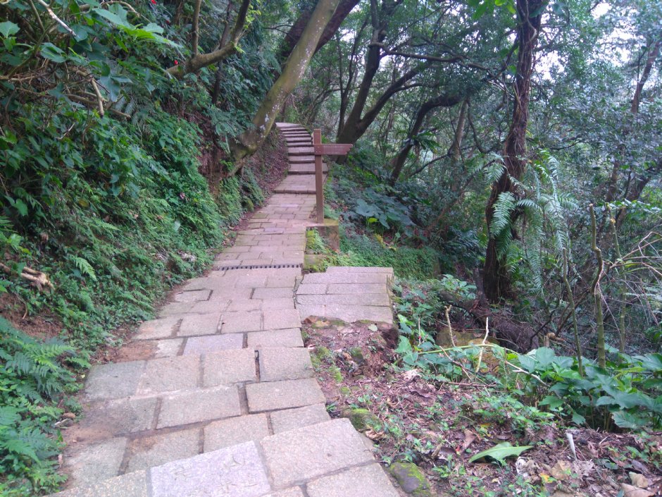 象山自然步道 攝影：Lu