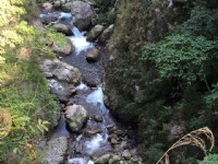 八仙山國家森林遊樂區<br/> 攝影：Rony