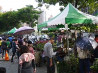 勞工公園假日花市<br/> 攝影：三井