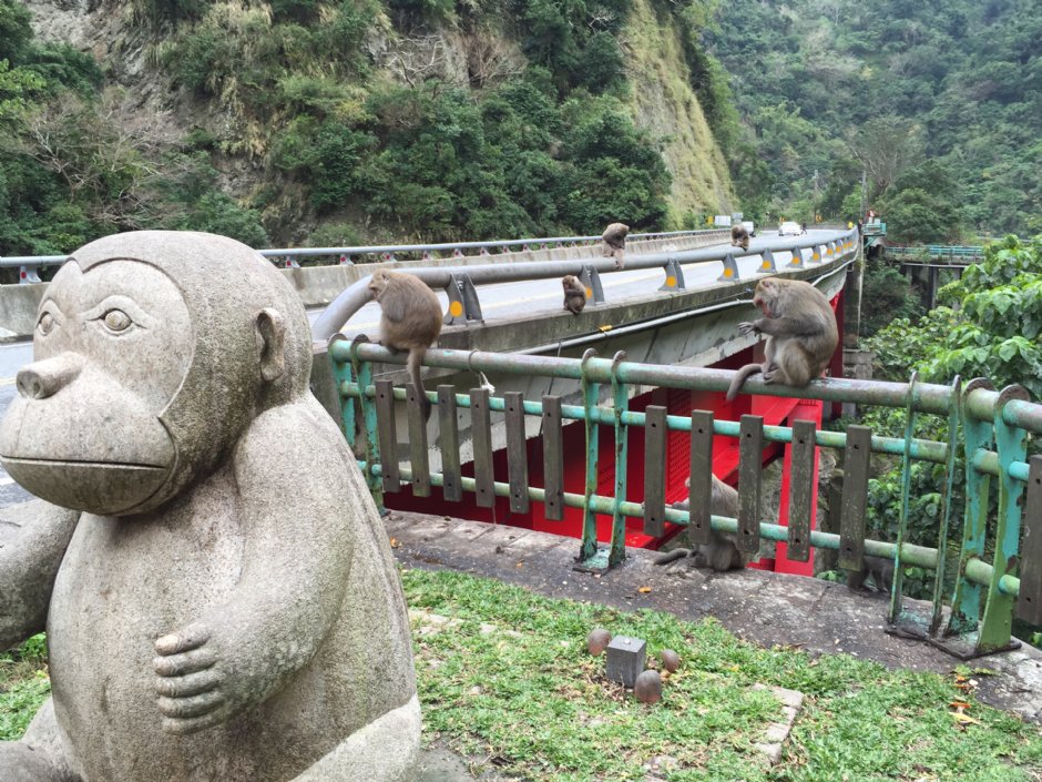 登仙橋休憩區 攝影：旅遊王攝影組
